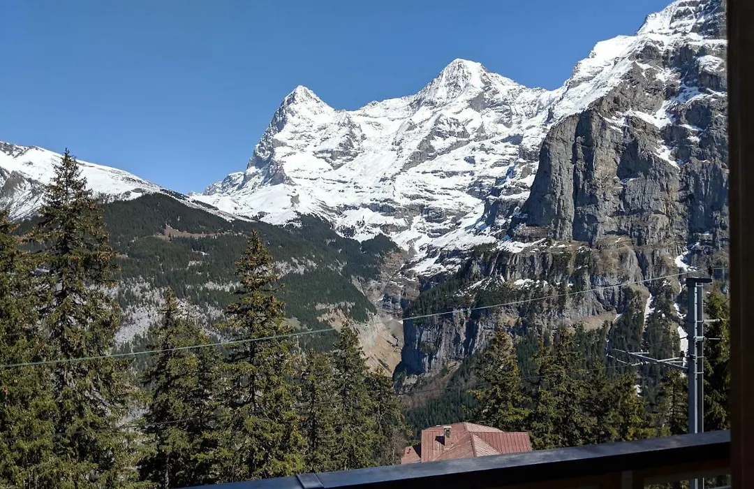 Hotel Alpenblick Mürren-1